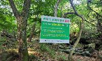 안성시, 여름철 산림정화구역 불법행위 집중단속